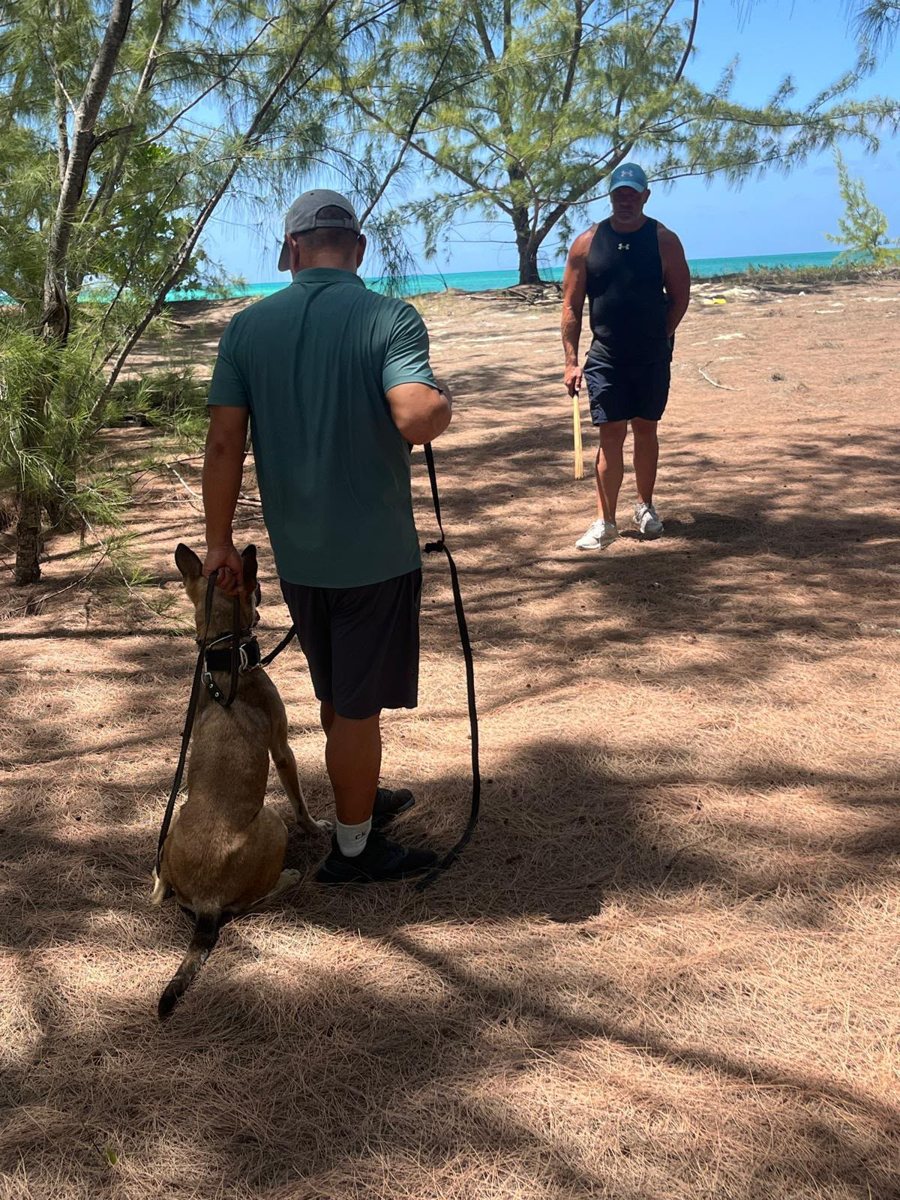Tudor running a handler training session overseas