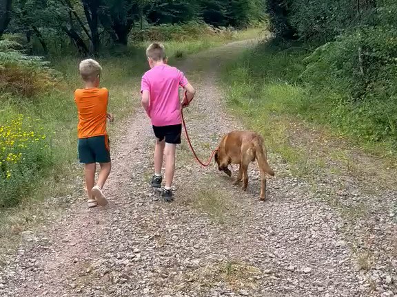 A dog walking on a loose lead beside two children on a woodland track